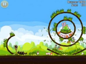 Download Angry Bird Season Free