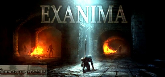 exanima trainer