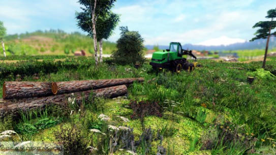 Professional Lumberjack PC Game 2015 Setup Download For Free